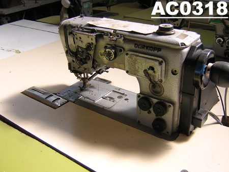 295-185082 E1 SOLO TESTA