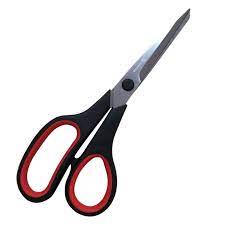 FORBICI  IN ACCIAIO INOX  21,5 CM